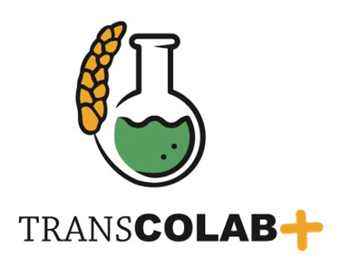 Logo TRANSCOLAB PLUS